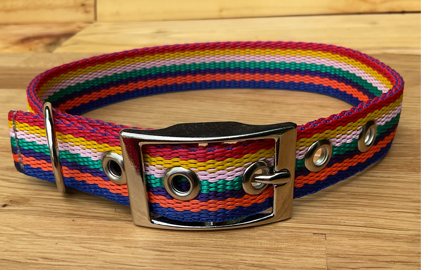 Adjustable Buckle Collar