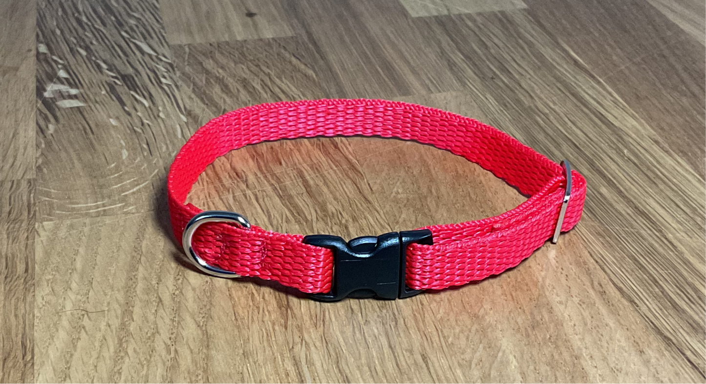Extra Small Plain Collar