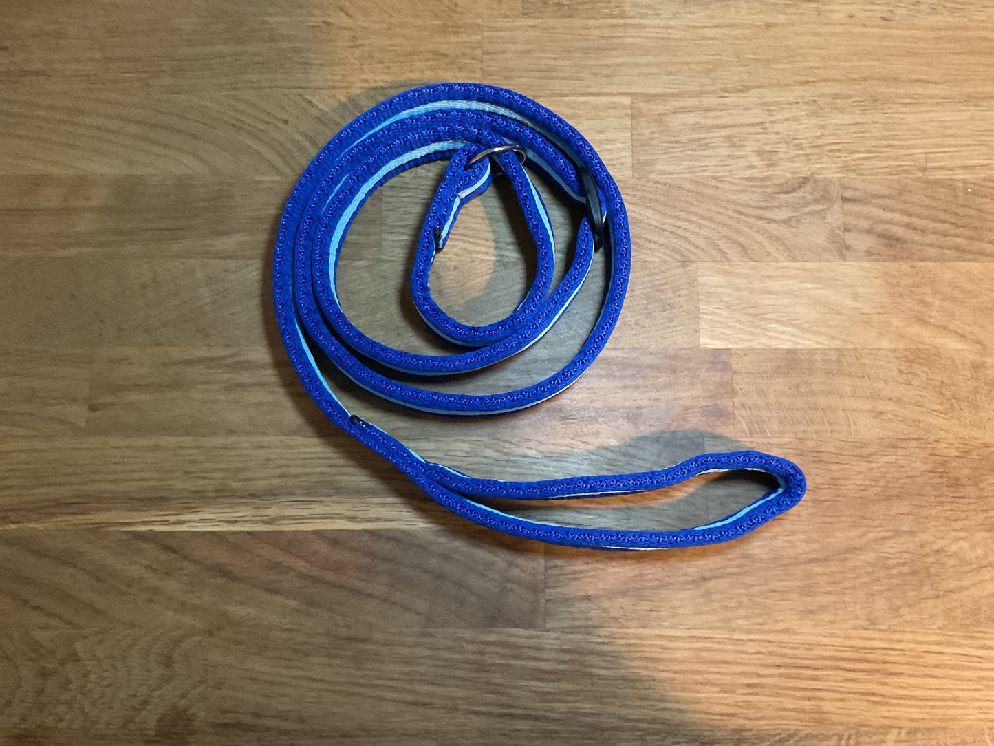 60" Padded Slip Lead