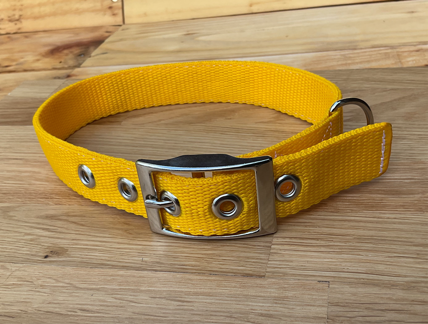 Personalised Adjustable Buckle Collar 25mm wide