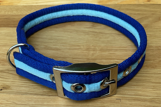 Adjustable Padded Buckle Collar 25mm Wide