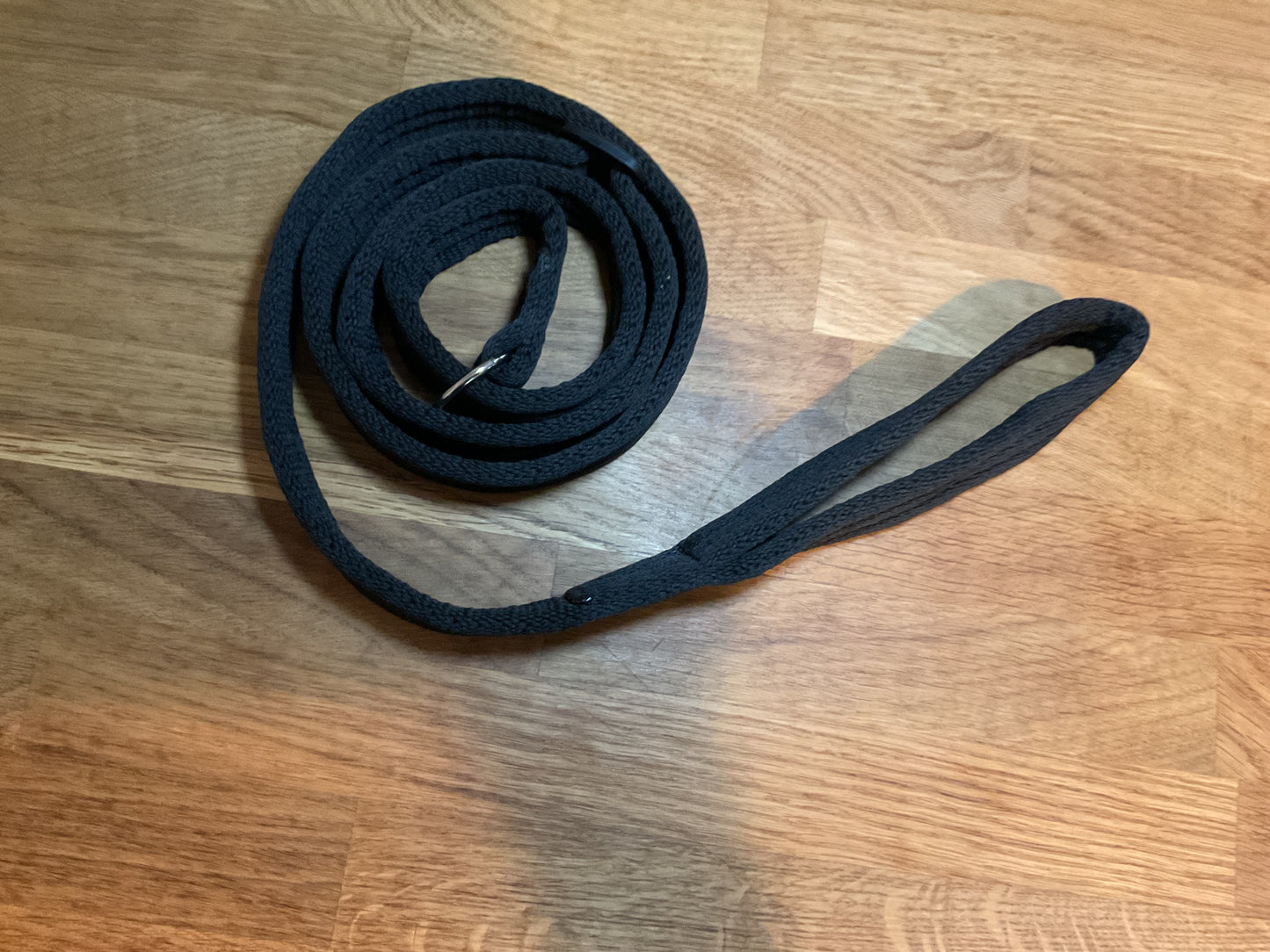 60" Padded Slip Lead
