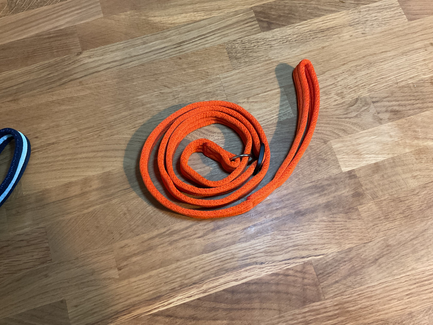 60" Padded Slip Lead