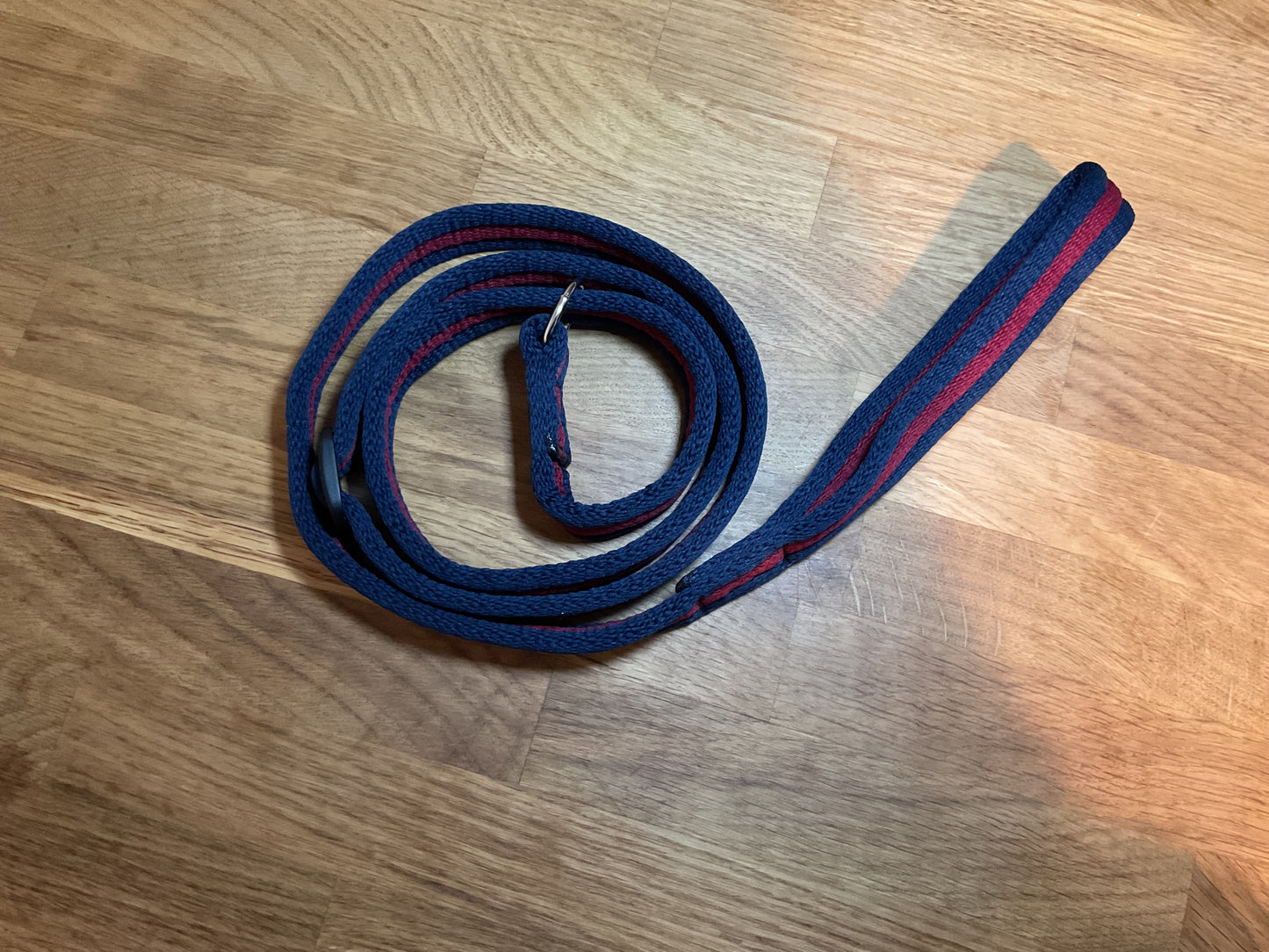 60" Padded Slip Lead