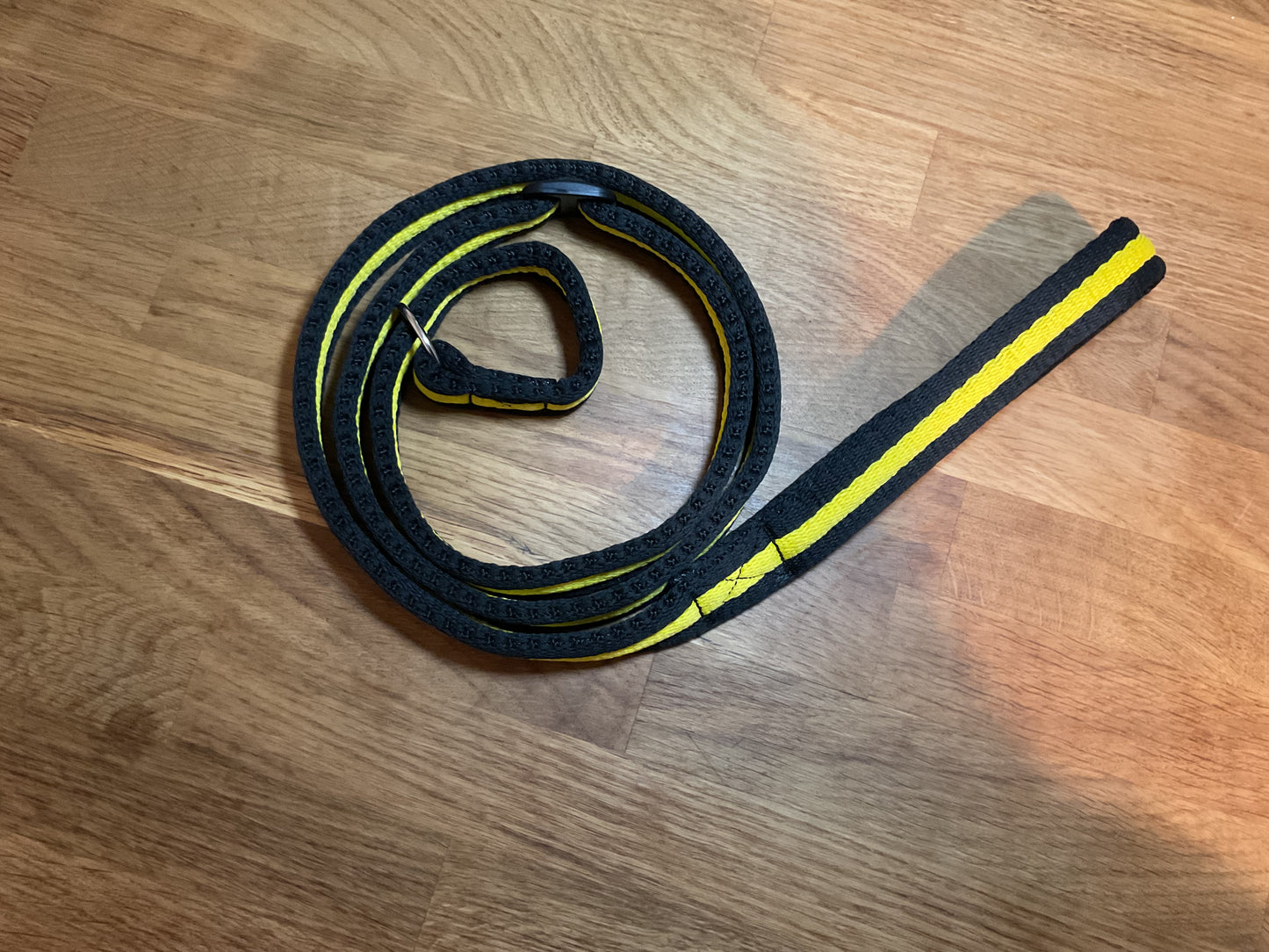 60" Padded Slip Lead