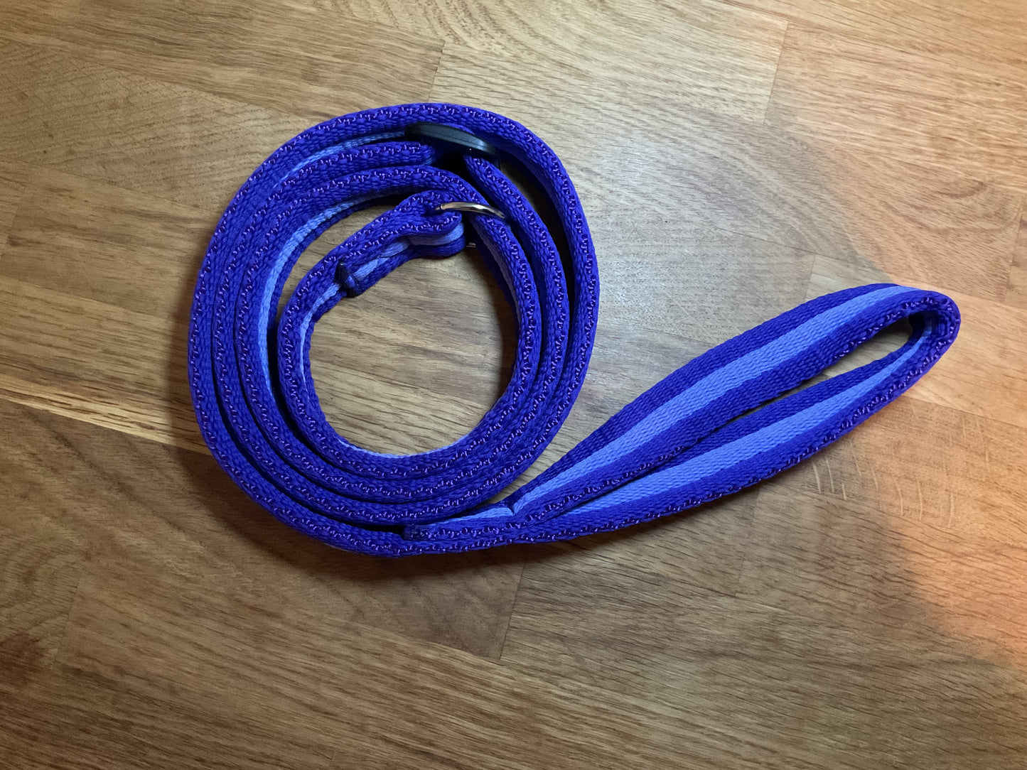 60" Padded Slip Lead