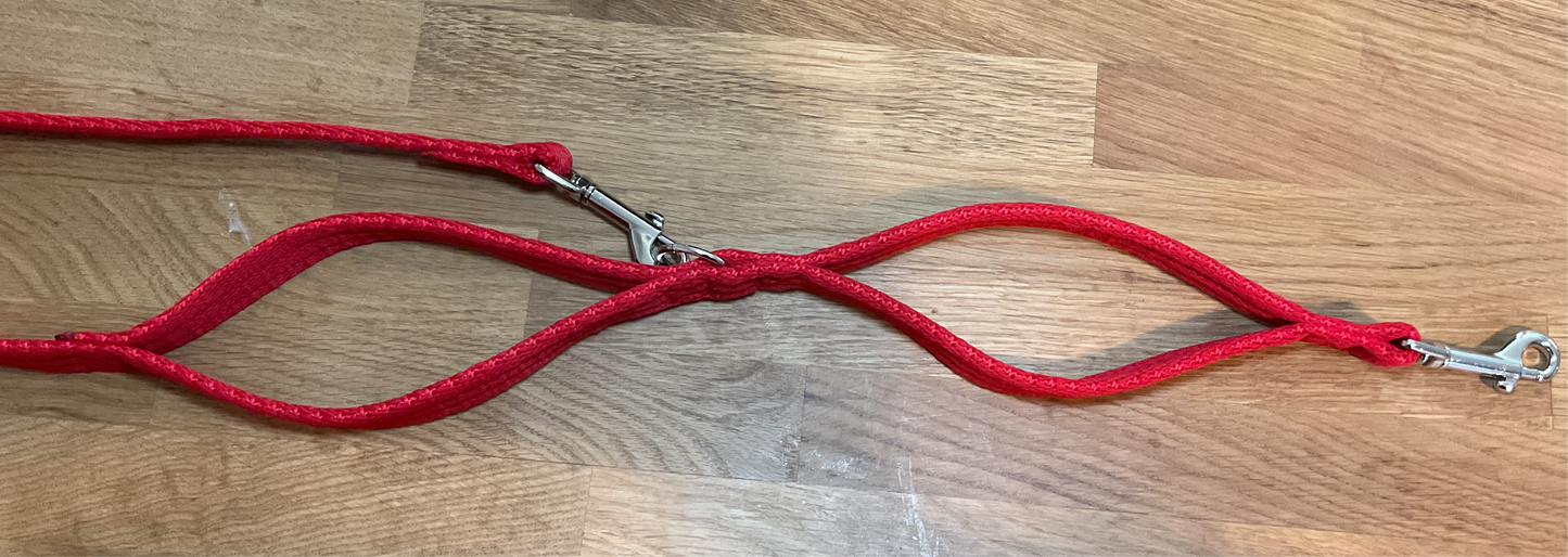 Double Ended Training Lead