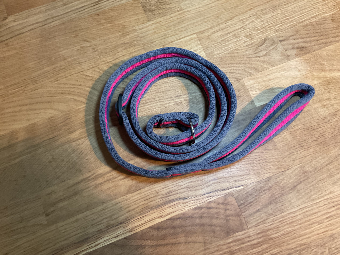 60" Padded Slip Lead