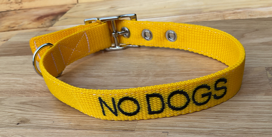 Personalised Adjustable Buckle Collar 25mm wide