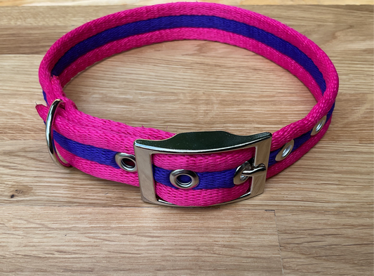 Adjustable Padded Buckle Collar 19mm Wide
