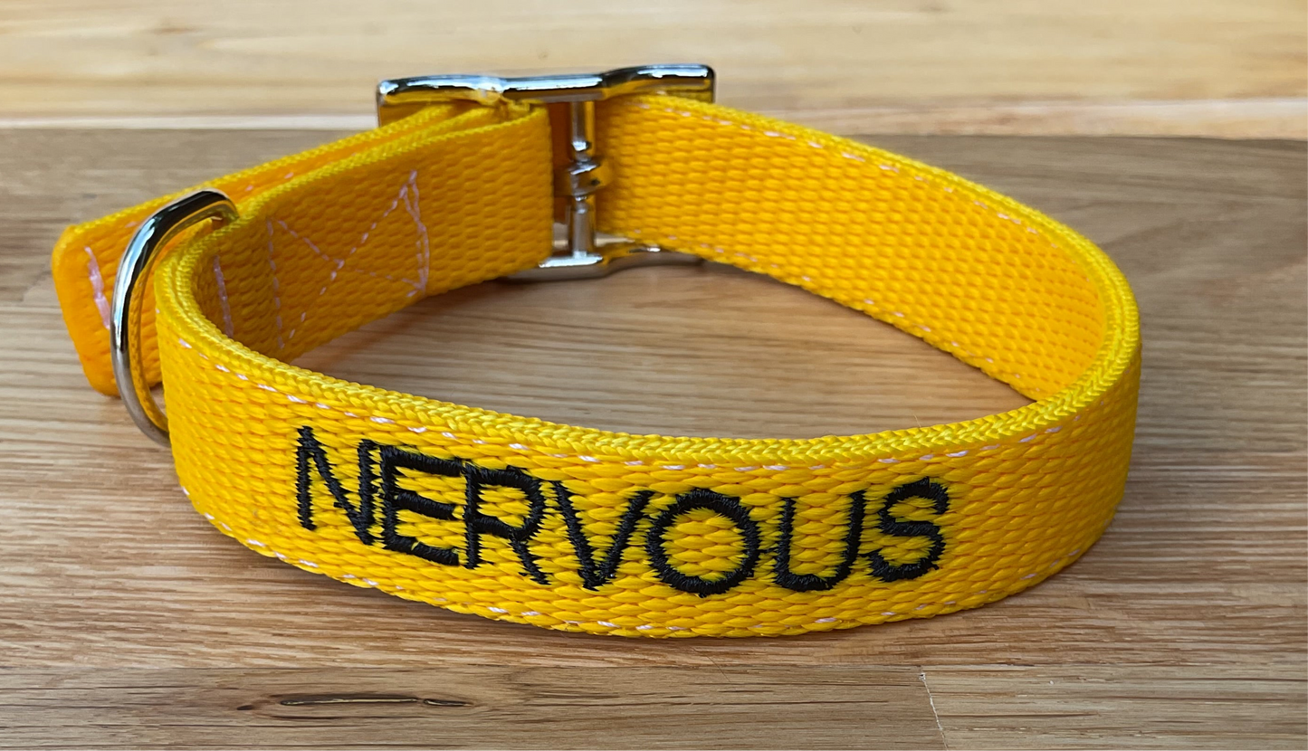 Personalised Adjustable Buckle Collar 25mm wide