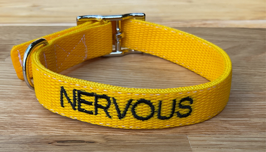 Personalised Adjustable Buckle Collar 19mm wide