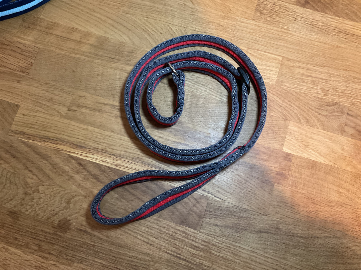 60" Padded Slip Lead